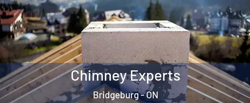  Chimney Experts Bridgeburg - ON