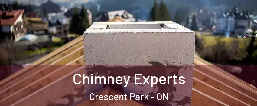  Chimney Experts Crescent Park - ON