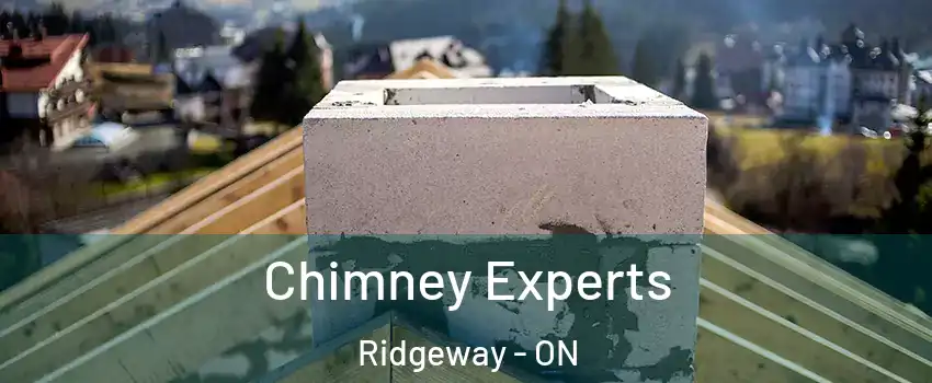  Chimney Experts Ridgeway - ON