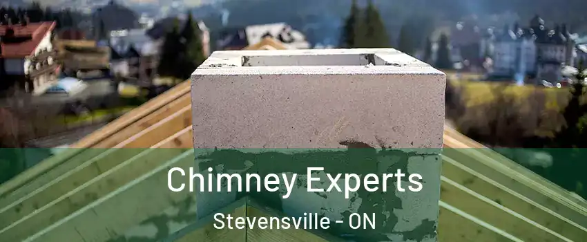  Chimney Experts Stevensville - ON