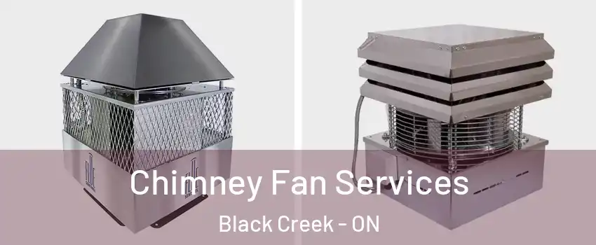  Chimney Fan Services Black Creek - ON