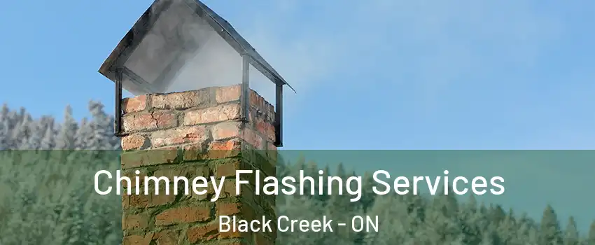  Chimney Flashing Services Black Creek - ON