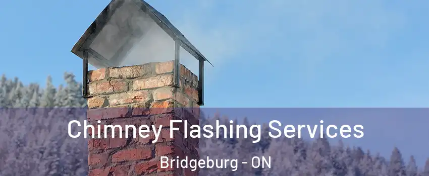  Chimney Flashing Services Bridgeburg - ON
