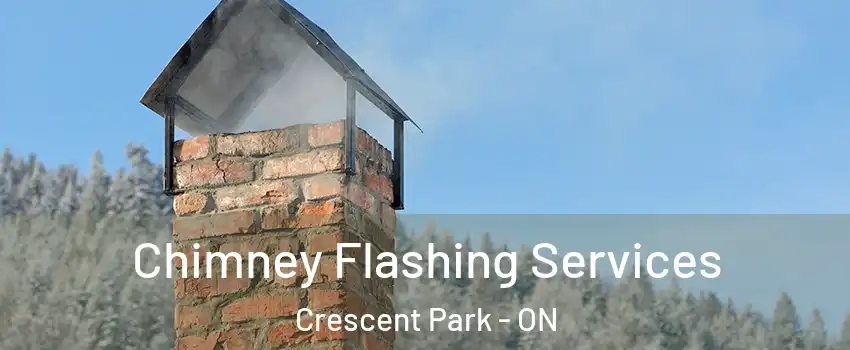  Chimney Flashing Services Crescent Park - ON