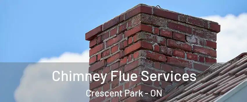  Chimney Flue Services Crescent Park - ON