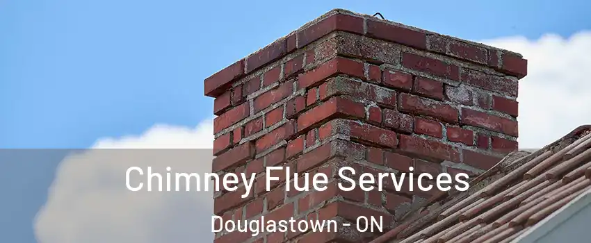  Chimney Flue Services Douglastown - ON