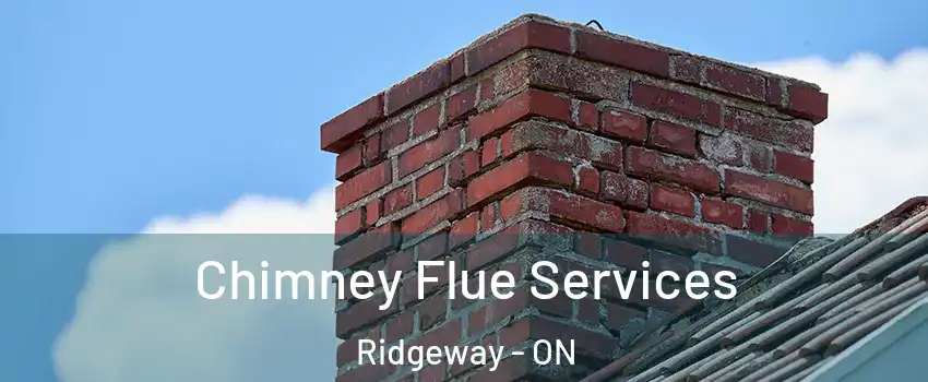  Chimney Flue Services Ridgeway - ON