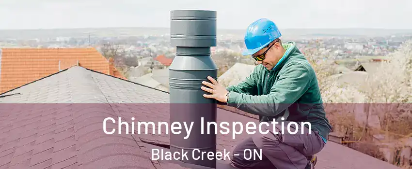  Chimney Inspection Black Creek - ON