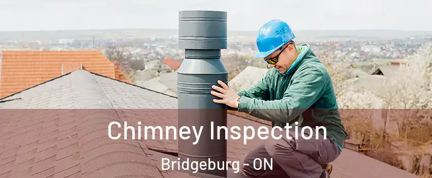 Chimney Inspection Bridgeburg - ON