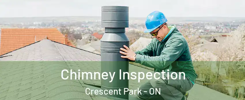  Chimney Inspection Crescent Park - ON