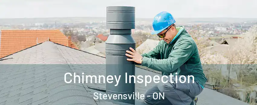  Chimney Inspection Stevensville - ON