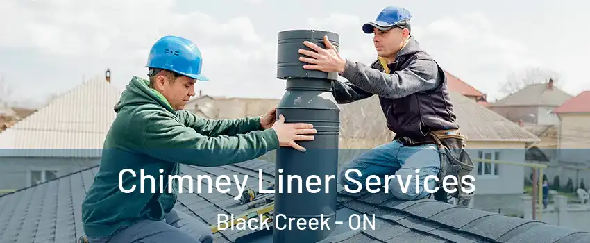  Chimney Liner Services Black Creek - ON