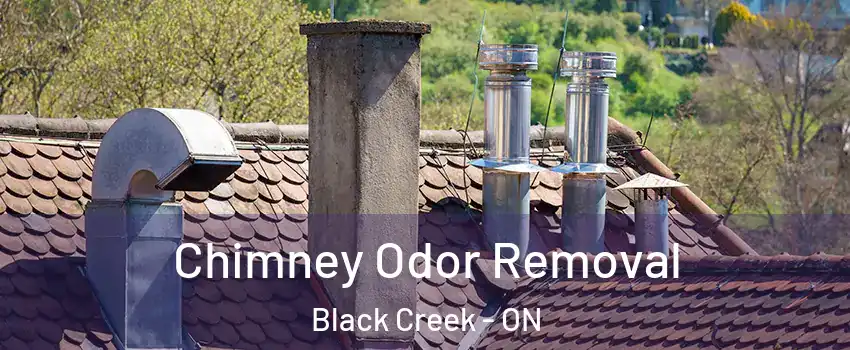  Chimney Odor Removal Black Creek - ON