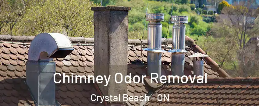 Chimney Odor Removal Crystal Beach - ON