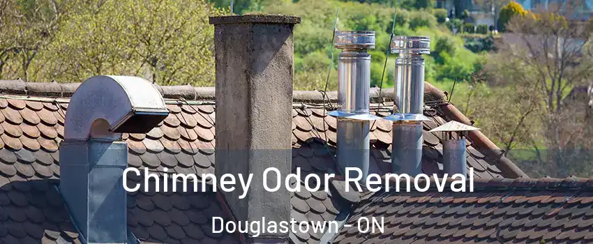  Chimney Odor Removal Douglastown - ON