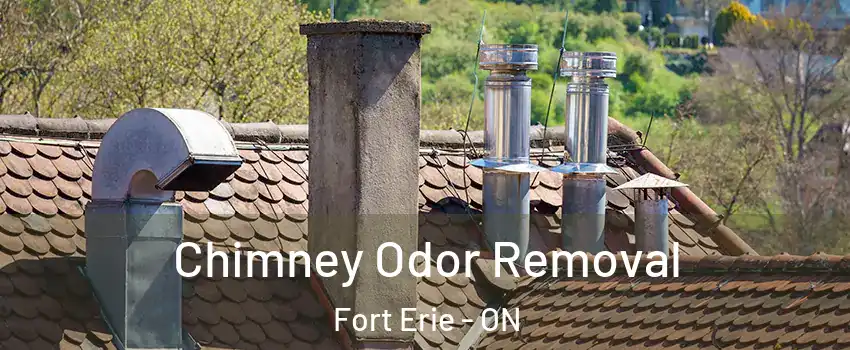  Chimney Odor Removal Fort Erie - ON