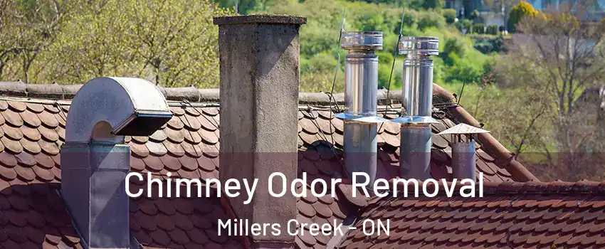  Chimney Odor Removal Millers Creek - ON