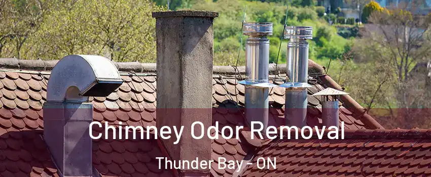  Chimney Odor Removal Thunder Bay - ON