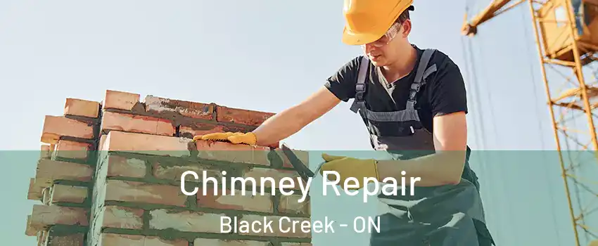  Chimney Repair Black Creek - ON