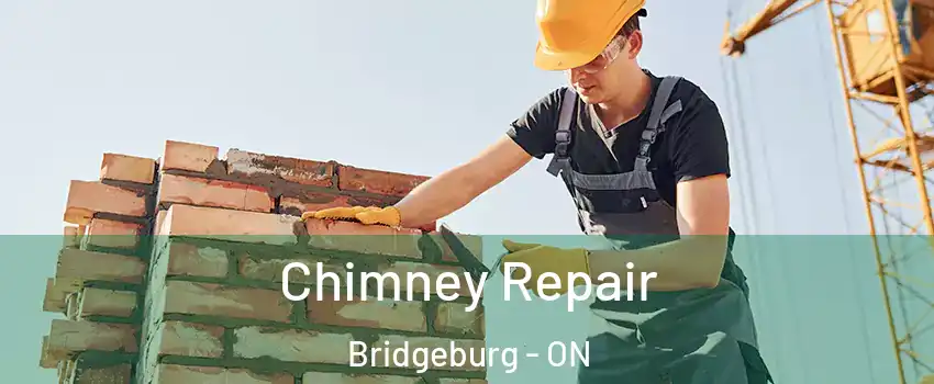  Chimney Repair Bridgeburg - ON