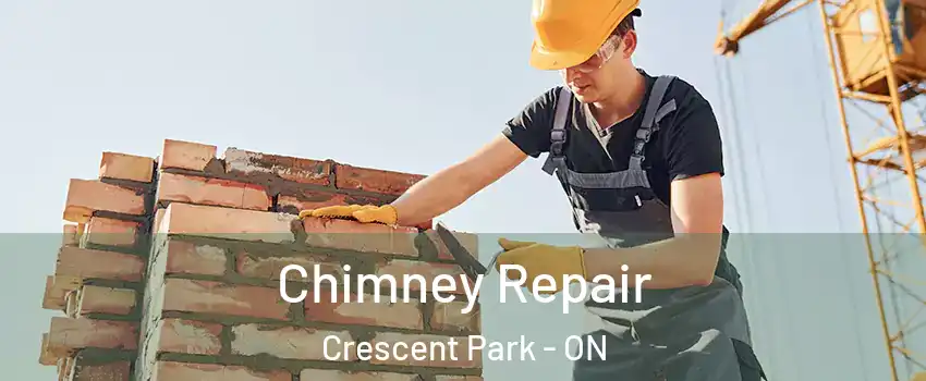  Chimney Repair Crescent Park - ON