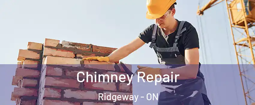  Chimney Repair Ridgeway - ON