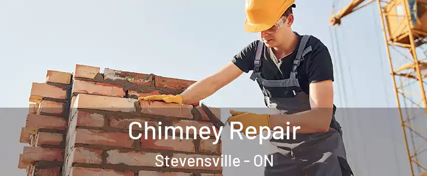  Chimney Repair Stevensville - ON