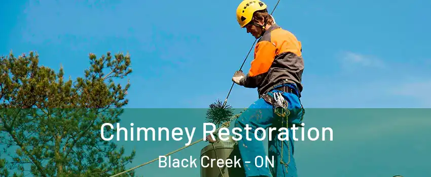  Chimney Restoration Black Creek - ON