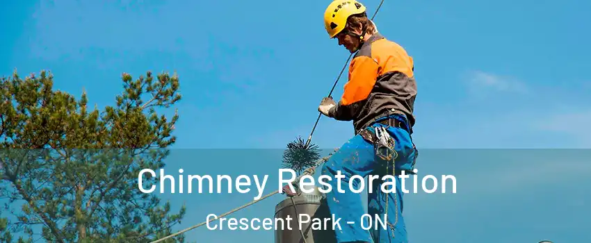  Chimney Restoration Crescent Park - ON