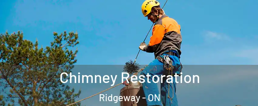  Chimney Restoration Ridgeway - ON