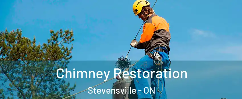  Chimney Restoration Stevensville - ON