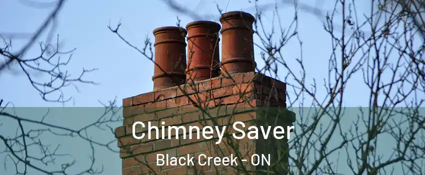  Chimney Saver Black Creek - ON