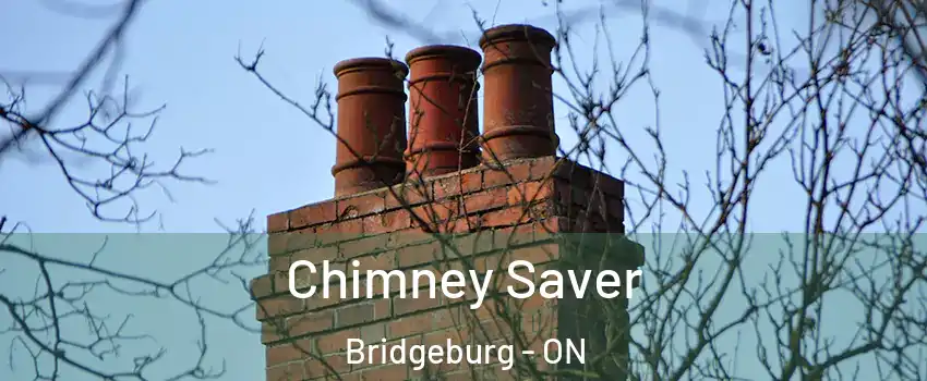  Chimney Saver Bridgeburg - ON