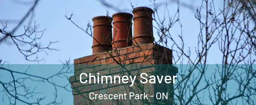  Chimney Saver Crescent Park - ON