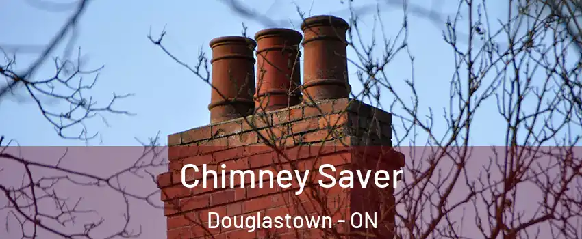  Chimney Saver Douglastown - ON