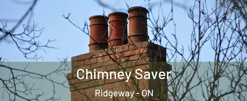  Chimney Saver Ridgeway - ON