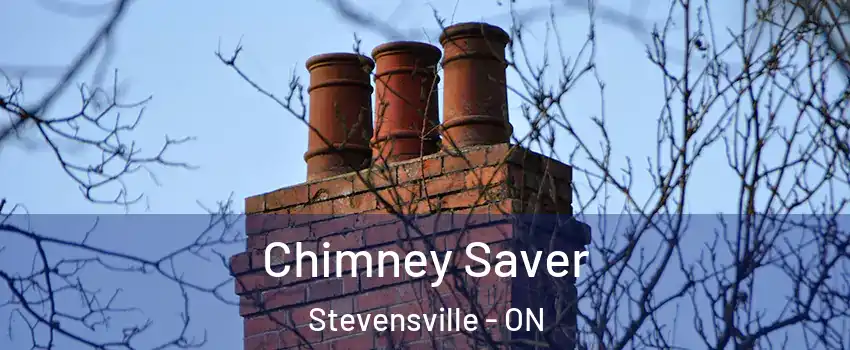  Chimney Saver Stevensville - ON