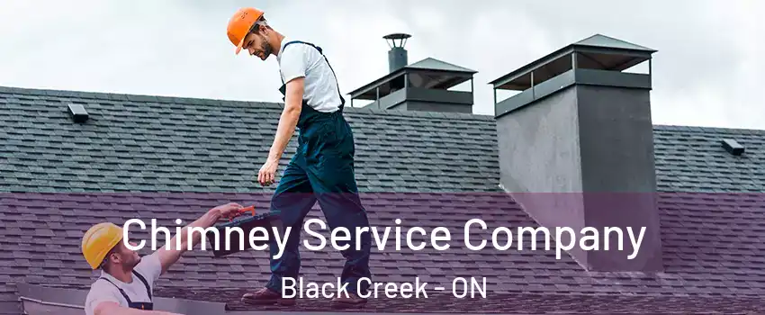  Chimney Service Company Black Creek - ON
