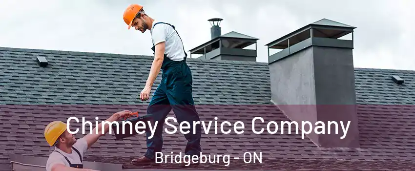  Chimney Service Company Bridgeburg - ON