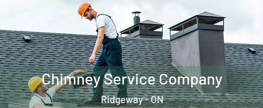  Chimney Service Company Ridgeway - ON