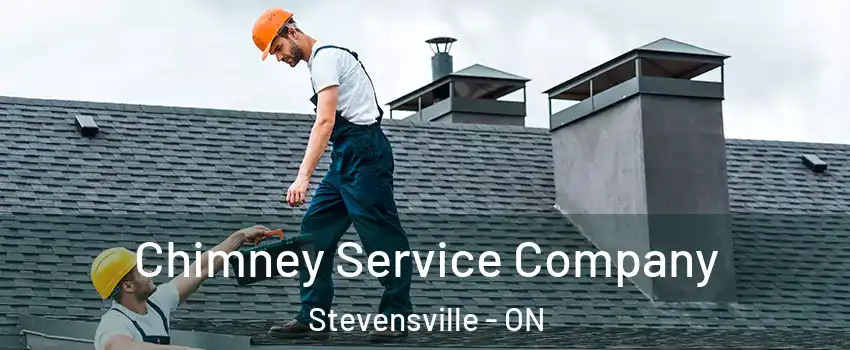  Chimney Service Company Stevensville - ON