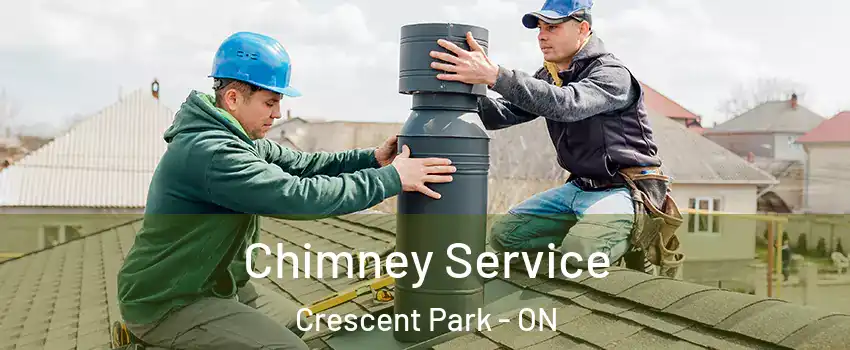  Chimney Service Crescent Park - ON