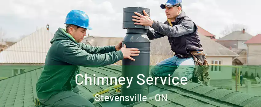  Chimney Service Stevensville - ON