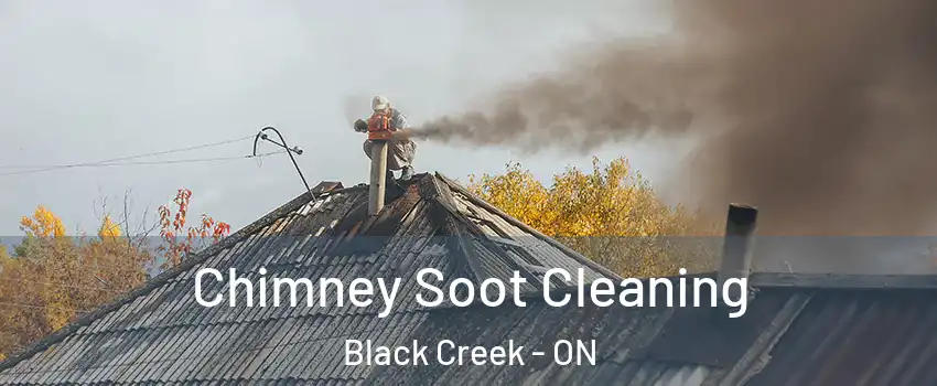  Chimney Soot Cleaning Black Creek - ON