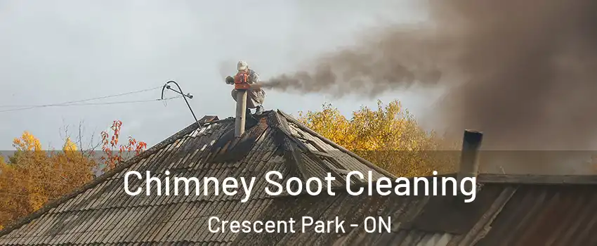  Chimney Soot Cleaning Crescent Park - ON