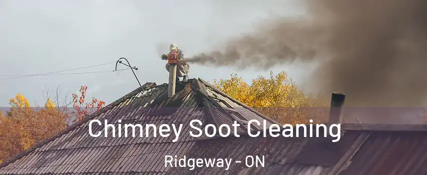  Chimney Soot Cleaning Ridgeway - ON