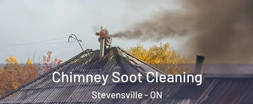  Chimney Soot Cleaning Stevensville - ON