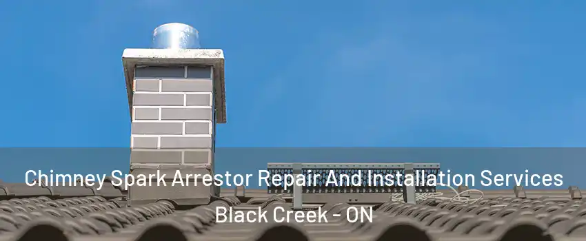  Chimney Spark Arrestor Repair And Installation Services Black Creek - ON