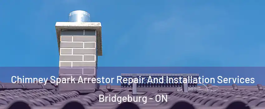  Chimney Spark Arrestor Repair And Installation Services Bridgeburg - ON