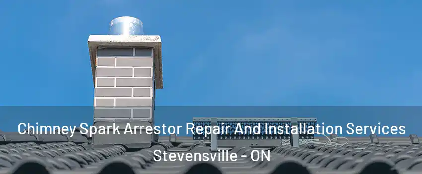  Chimney Spark Arrestor Repair And Installation Services Stevensville - ON